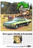 Chevrolet 1973 222.jpg